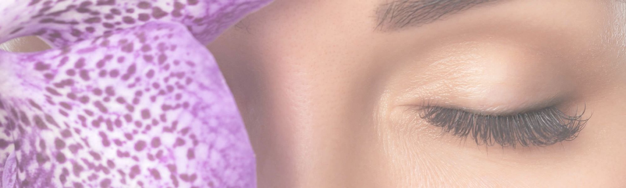 lashes and brows
